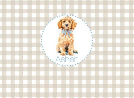 155- khaki and baby blue doodle