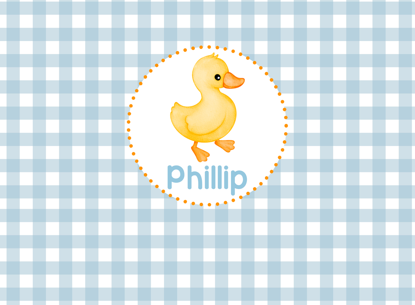 141- baby duck