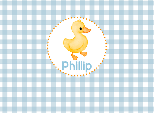 141- baby duck