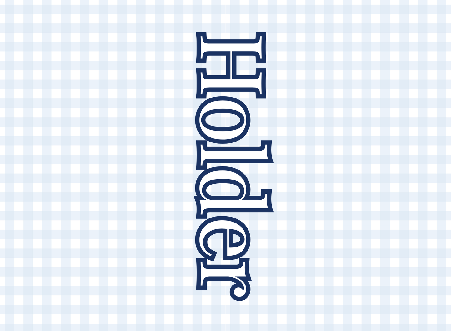 038- baby blue gingham