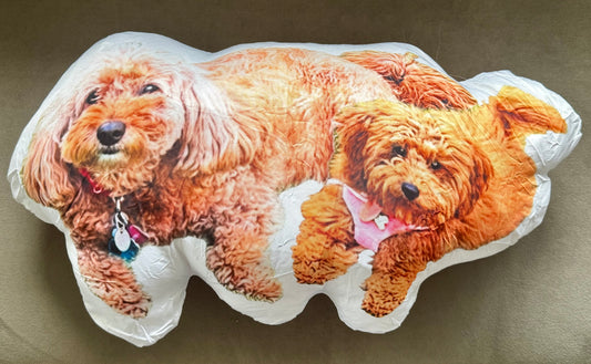 Custom Shaped Photo & Name Pillow